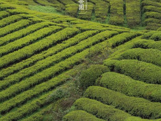 伍家台乡村休闲度假区